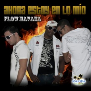 Flow Havana