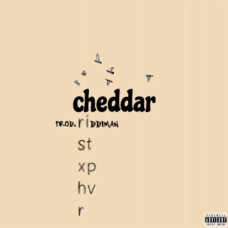 cheddar