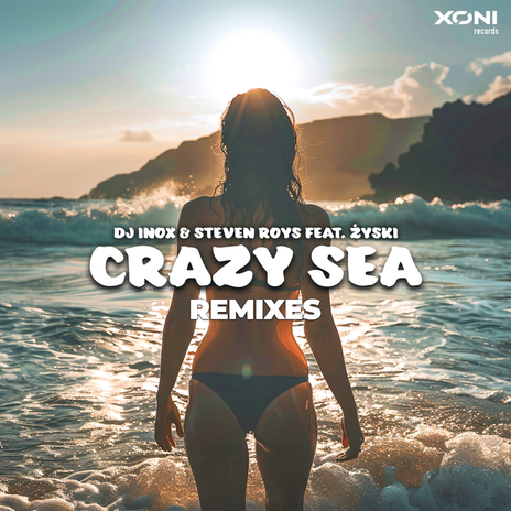 Crazy Sea (Remixes) (Artbasses Remix) ft. Steven Roys & Żyski | Boomplay Music