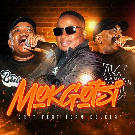 Mokgotsi (feat. Team Delela) | Boomplay Music