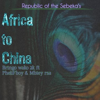 Africa to China