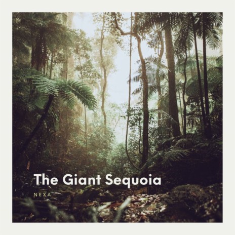 The Giant Sequoia | Boomplay Music