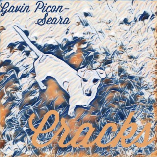 Gavin Picon-Seara