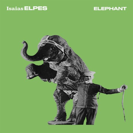 Elephant | Boomplay Music