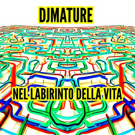 NEL LABIRINTO DELLA VITA | Boomplay Music