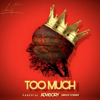 TOO MUCH ft. Kali Freshman & Zain2Faded lyrics | Boomplay Music