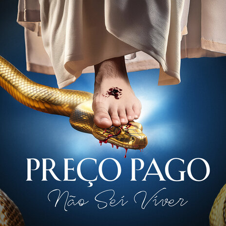 Preço Pago (Não Sei Viver) | Boomplay Music