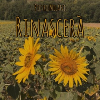 Rinascerà lyrics | Boomplay Music