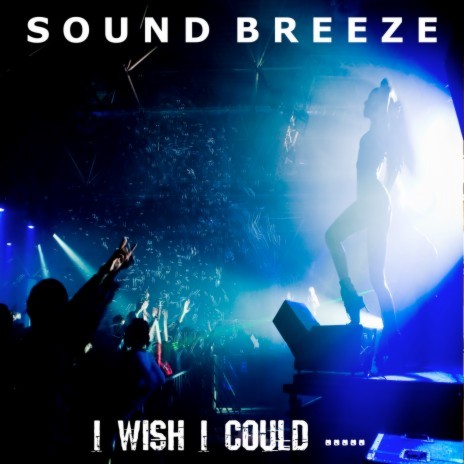 I Wish I Could | Boomplay Music