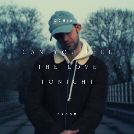 Can You Feel the Love Tonight | Boomplay Music