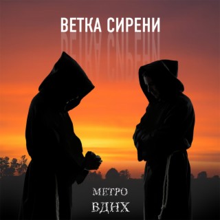 Метро ВДНХ