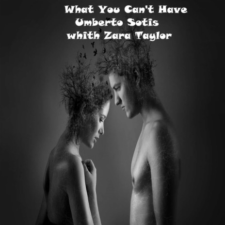 What You Can't Have (with Zara Taylor) | Boomplay Music