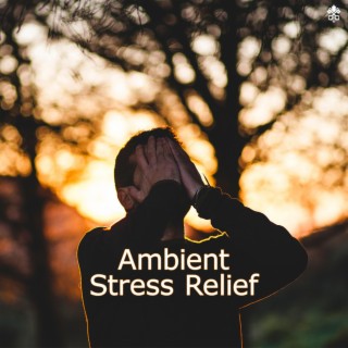 Ambient Stress Relief