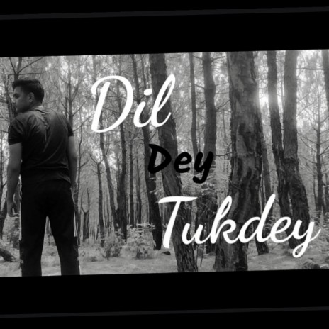 Dil Dey Tukdey