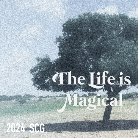 The Life Is Magical | Boomplay Music