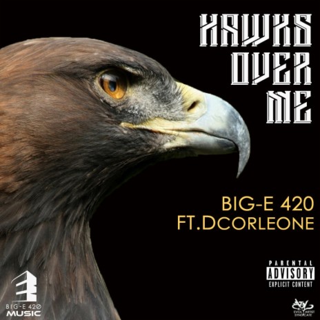 Hawks Over Me | Boomplay Music