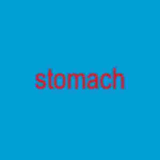 stomach