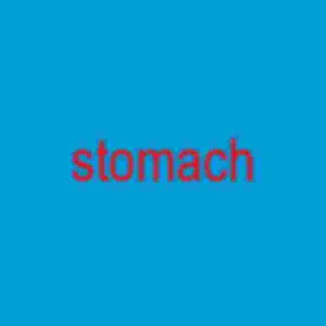 stomach | Boomplay Music