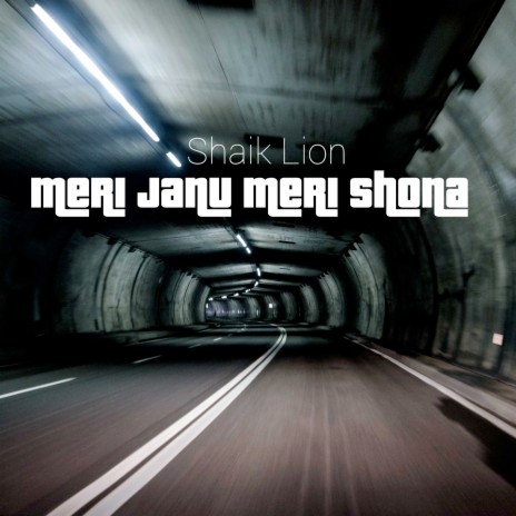 Meri Janu Meri Shona | Boomplay Music
