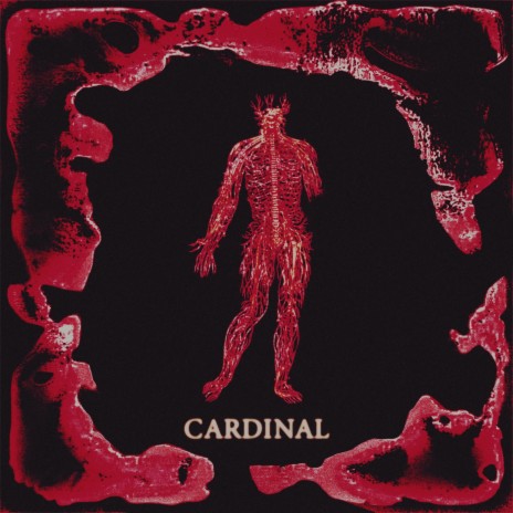 Cardinal ft. Moley | Boomplay Music