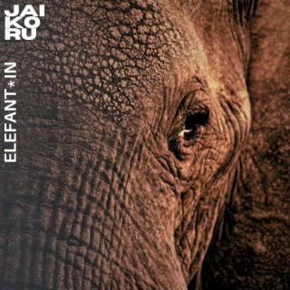 Elefant*In