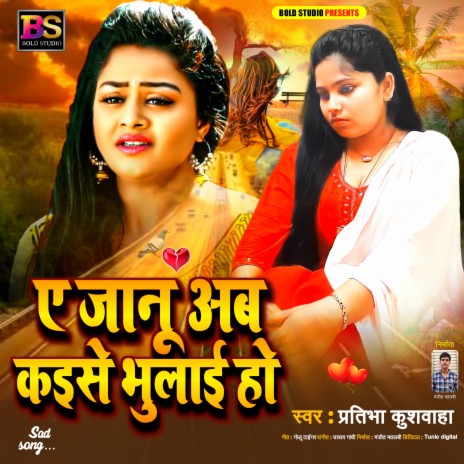 Ae Jaanu Ab Kaise Bhulae Ho (Bhojpuri) | Boomplay Music