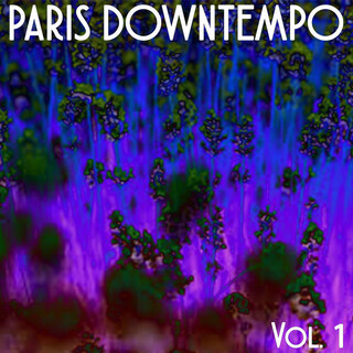 Paris Downtempo, Vol. 1