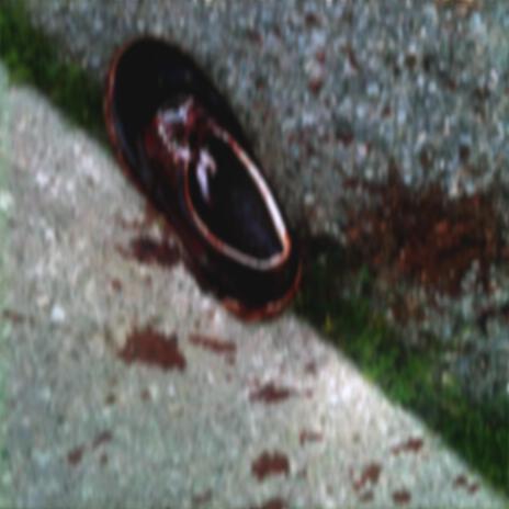 Bloody Shoe