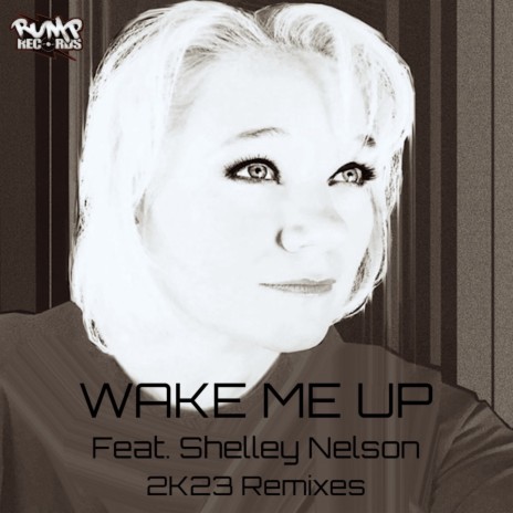 Wake Me Up (Statix & Lukey P Marimba Remix) ft. Shelley Nelson & Qualifide | Boomplay Music