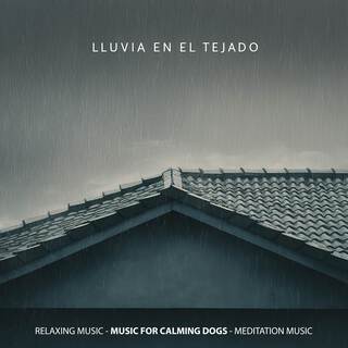 Lluvia En El Tejado