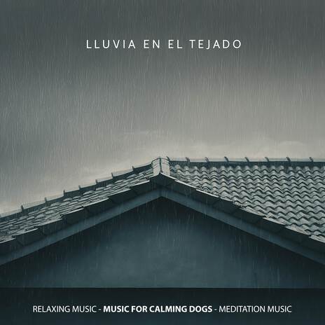 Lluvia En El Tejado ft. Meditation Music & Music For Calming Dogs