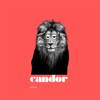 CANDOR