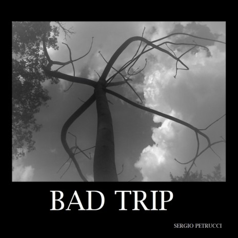 Bad Trip -Not so bad-