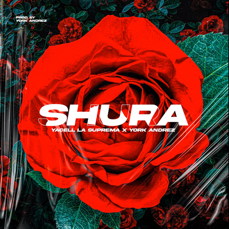 Shura ft. Yacell La Suprema | Boomplay Music