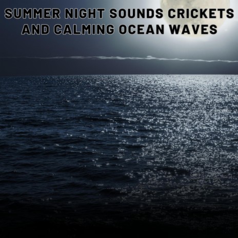Summer Night Sounds Crickets and Calming Ocean Waves 1 Hour Relaxing Ambience Yoga Nature Meditation Sounds For Sleeping Relaxation or Studying