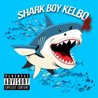 SHARK BOY KELBO