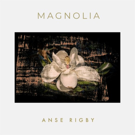 Magnolia | Boomplay Music