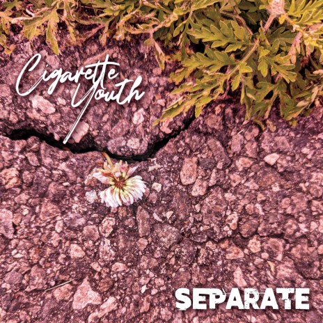 Separate | Boomplay Music