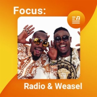 Focus: Radio & Weasel
