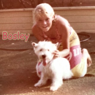 Bosely (1993)