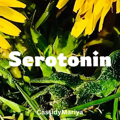 Serotonin | Boomplay Music