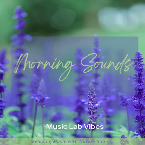 Morning Sounds | Boomplay Music