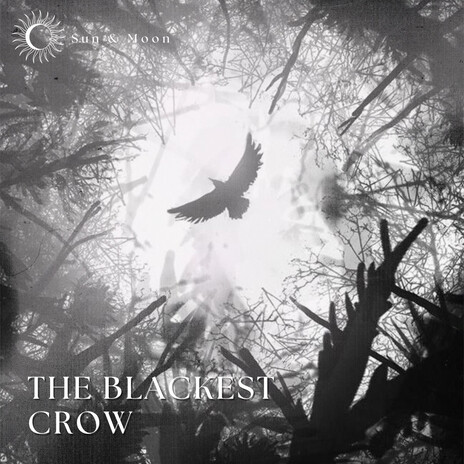 The Blackest Crow | Boomplay Music