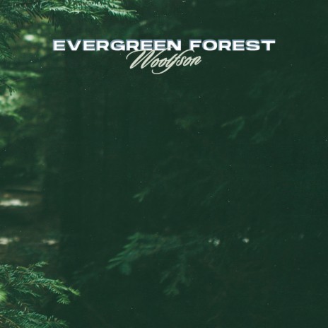 Evergreen Forest | Boomplay Music