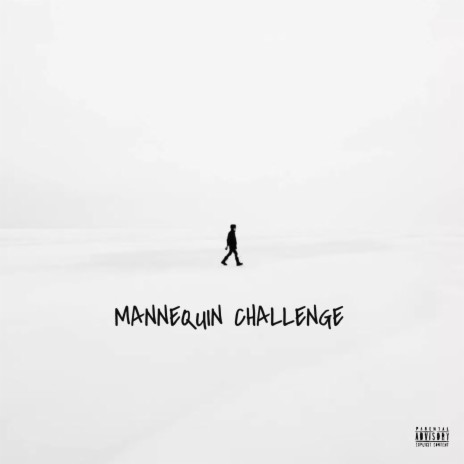 Mannequin Challenge | Boomplay Music