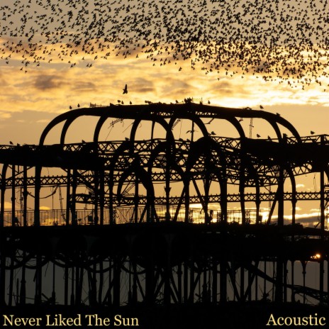 Never Liked The Sun (Acoustic Version) | Boomplay Music