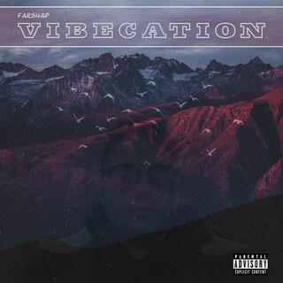 Vibecation