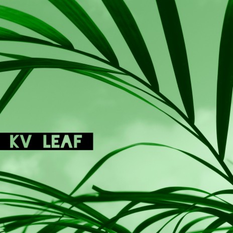 Leaf | Boomplay Music