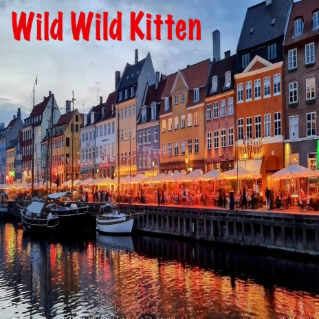 Wild Wild Kitten