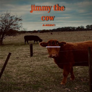 Jimmy the cow